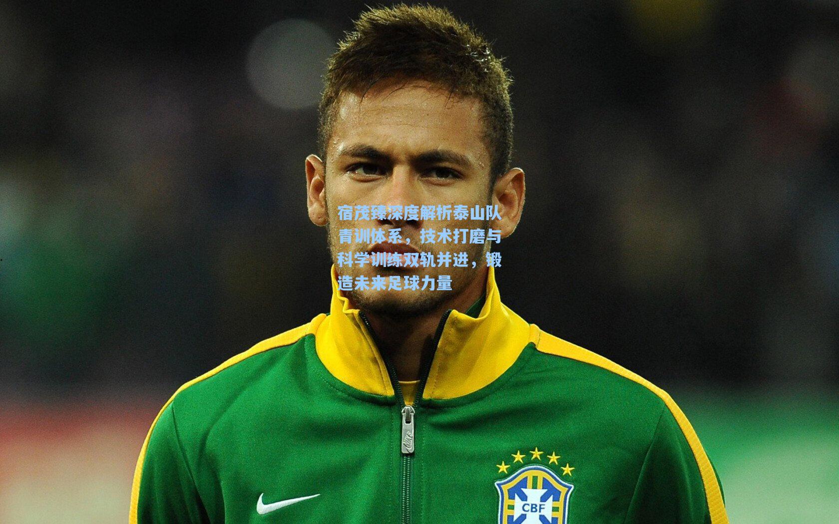 宿茂臻深度解析泰山队青训体系，技术打磨与科学训练双轨并进，锻造未来足球力量